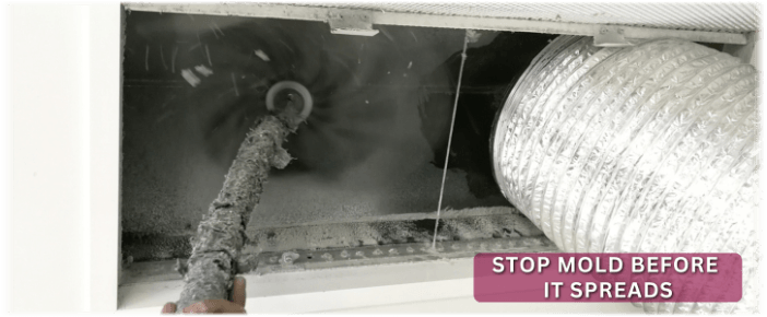 Air Duct Mold Removal in Joliet