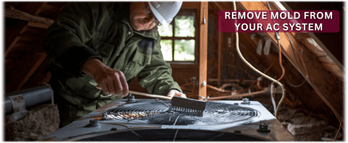 HVAC Mold Removal Joliet